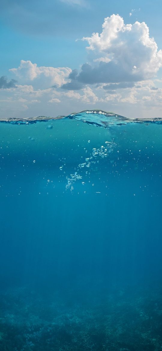 蝶变by麟潜未删减 App 章节目录界面截图，深色背景上纵向列出章节标题与阅读进度标记，右侧有细窄滚动条